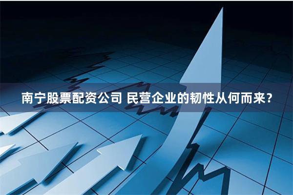 南宁股票配资公司 民营企业的韧性从何而来？