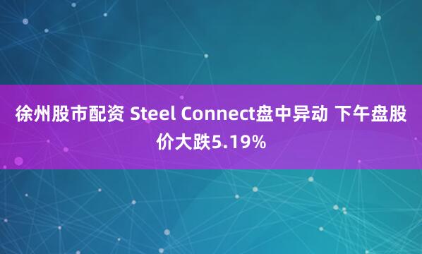 徐州股市配资 Steel Connect盘中异动 下午盘股价大跌5.19%