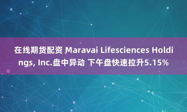 在线期货配资 Maravai Lifesciences Holdings, Inc.盘中异动 下午盘快速拉升5.15%