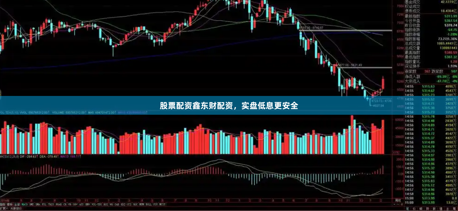 股票配资鑫东财配资,实盘低息更安全
