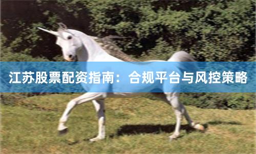 江苏股票配资指南：合规平台与风控策略