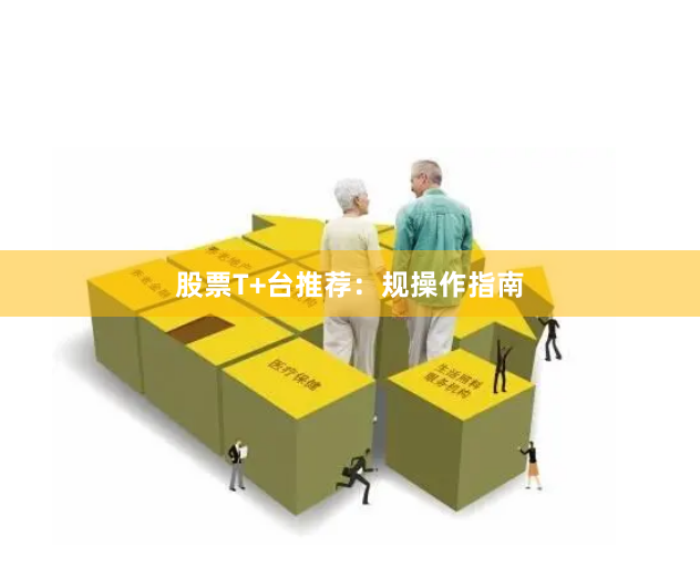 股票T+台推荐：规操作指南